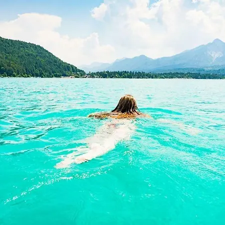 Alpe-adria Chanel Top12