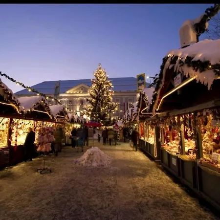 Alpe-adria Chanel Top12