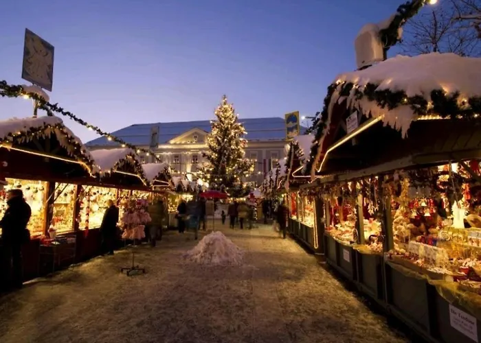 Alpe-adria Chanel Top12