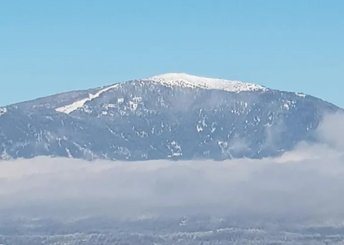 Alpe-adria Chanel Top12 Apartament